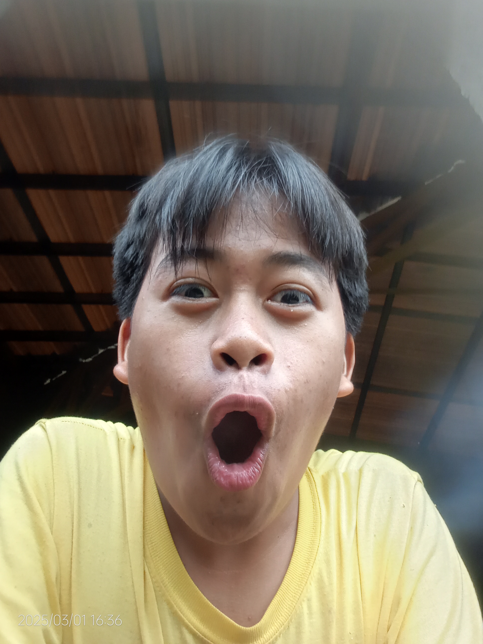 POG face